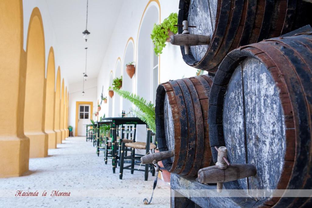 Hacienda La Morena Montellano Ngoại thất bức ảnh