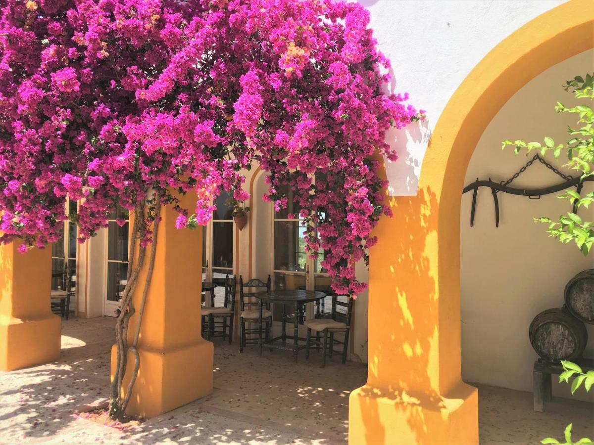 Hacienda La Morena Montellano Ngoại thất bức ảnh