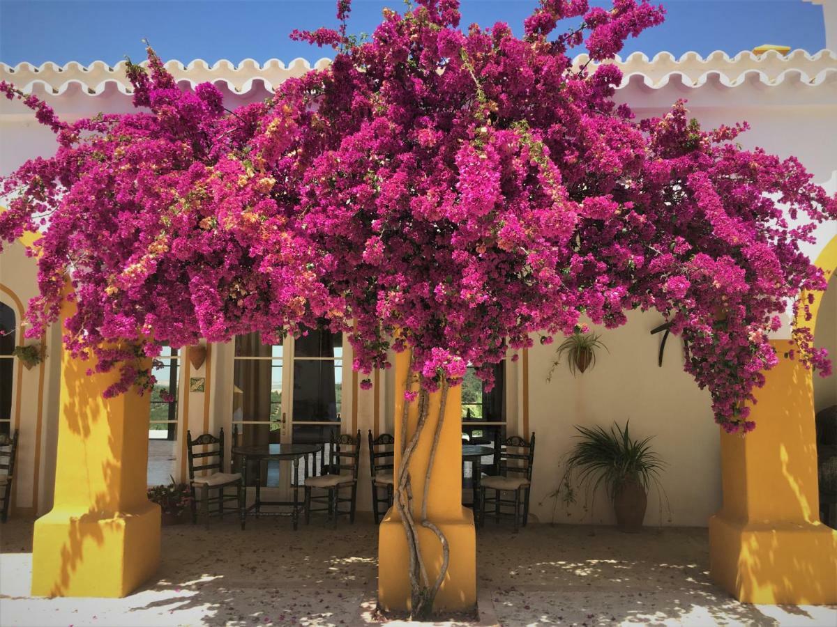 Hacienda La Morena Montellano Ngoại thất bức ảnh