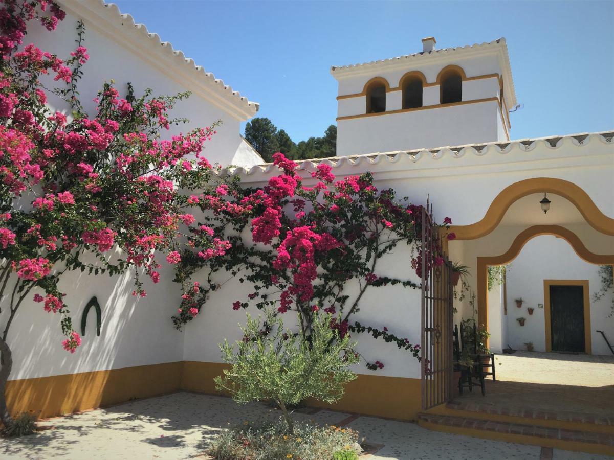 Hacienda La Morena Montellano Ngoại thất bức ảnh